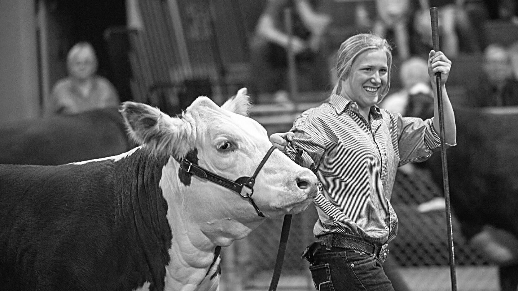 Hereford 'family': Junior association promotes Hereford breed